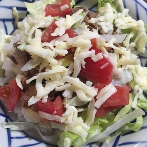 タコライスの味♡野菜たっぷりミートソース